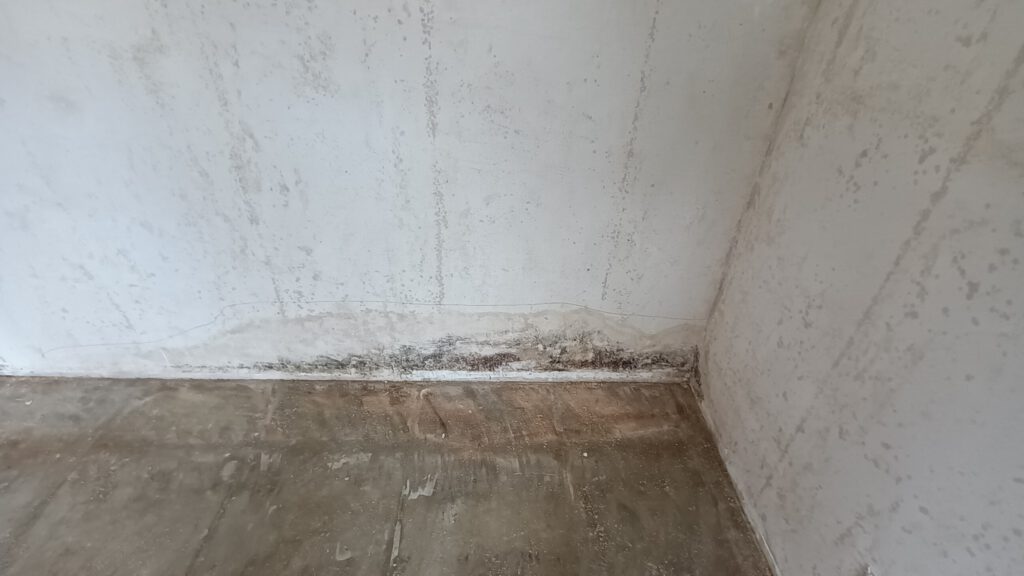 Schimmel an den Wänden