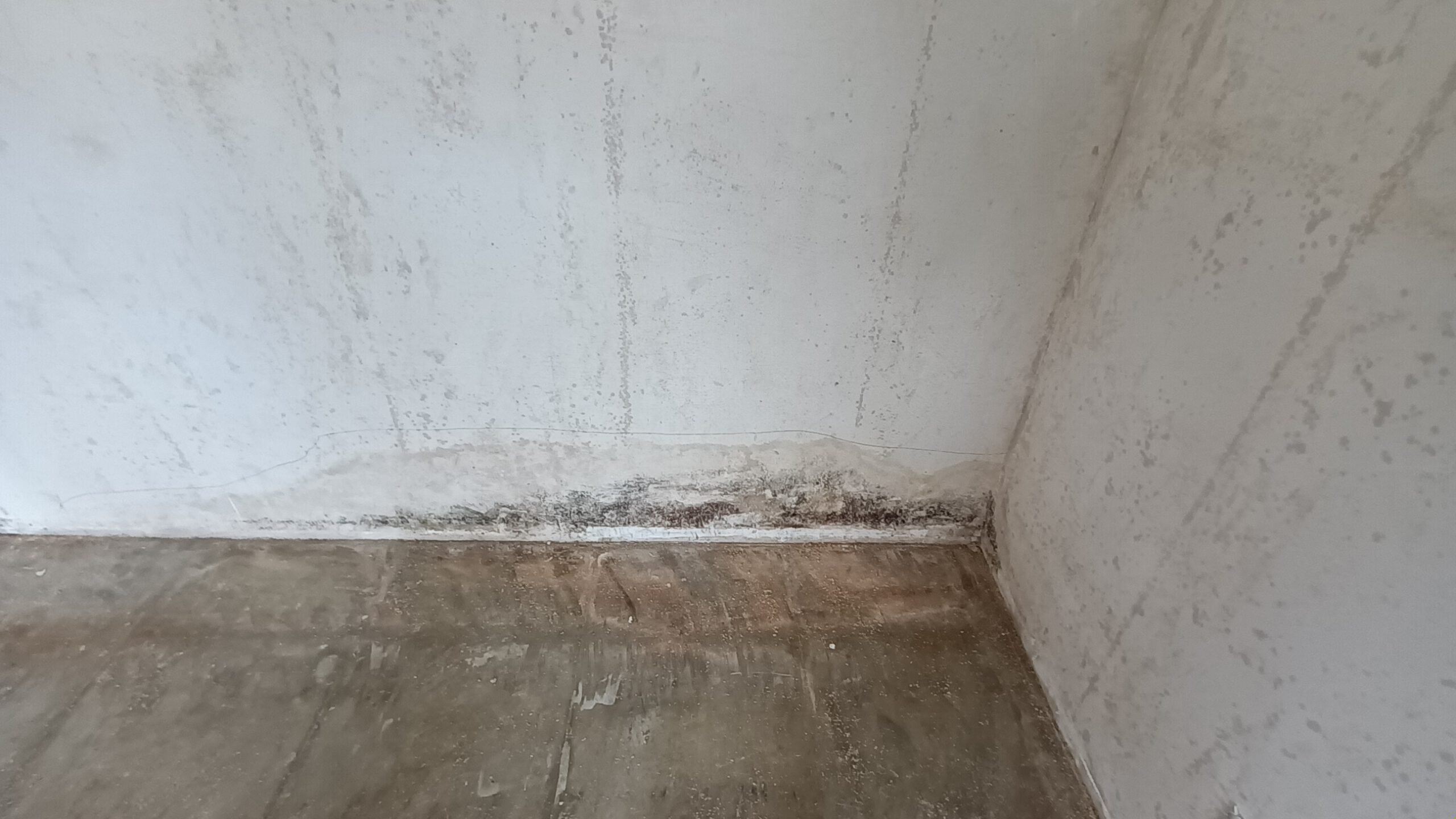 Schimmel an den Wänden