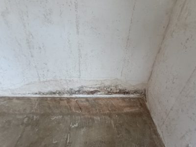 Schimmel an den Wänden